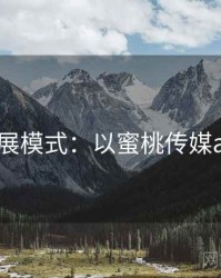 2025发展模式：以蜜桃传媒app为例