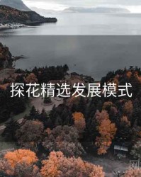 探花精选发展模式