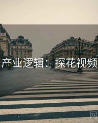 产业逻辑：探花视频