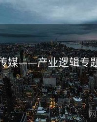 蜜桃传媒——产业逻辑专题研究