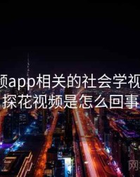 探花视频app相关的社会学视角研究，探花视频是怎么回事