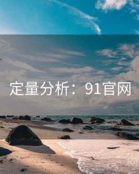 定量分析：91官网