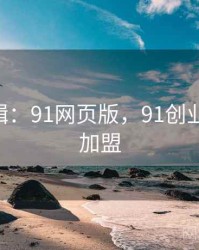 产业逻辑：91网页版，91创业网,招商加盟