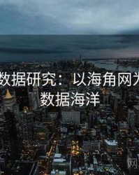 2025大数据研究：以海角网为例，大数据海洋