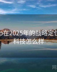 海角app在2025年的战略定位，海角科技怎么样