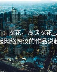 定量分析：探花，浅谈探花_从一部引起网络热议的作品说起