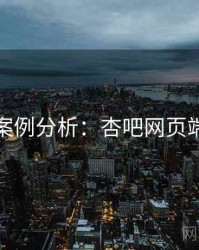 案例分析：杏吧网页端