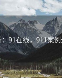 案例分析：91在线，911案例分析报告