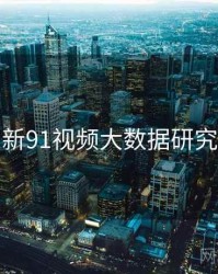 新91视频大数据研究