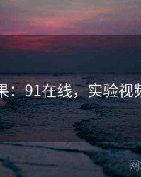 实验结果：91在线，实验视频在哪看