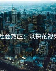2025社会效应：以探花视频为例
