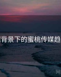 大数据背景下的蜜桃传媒趋势分析