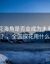 国产探花海角是否会成为未来的研究重点？，全国探花用什么拍的