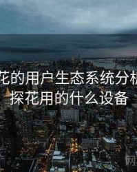 国产探花的用户生态系统分析，全国探花用的什么设备