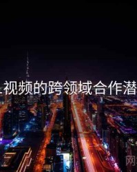 91视频的跨领域合作潜力