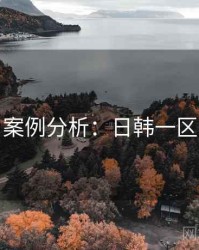 案例分析：日韩一区