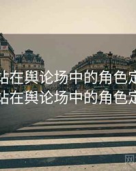海角网站在舆论场中的角色定位，海角网站在舆论场中的角色定位是