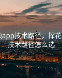 探花视频app技术路径，探花视频app技术路径怎么选