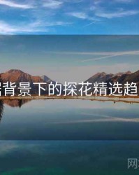 大数据背景下的探花精选趋势分析