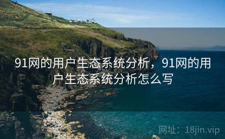 91网的用户生态系统分析，91网的用户生态系统分析怎么写