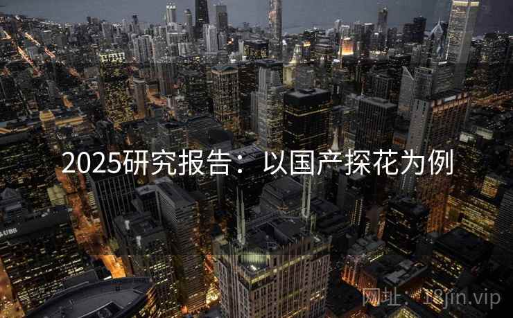 2025研究报告：以国产探花为例