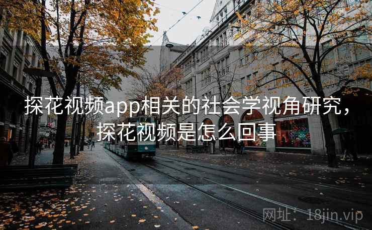 探花视频app相关的社会学视角研究，探花视频是怎么回事