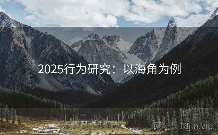 2025行为研究：以海角为例