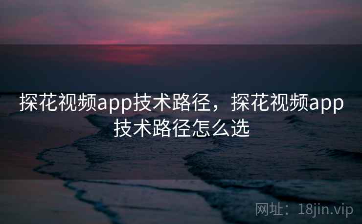 探花视频app技术路径，探花视频app技术路径怎么选
