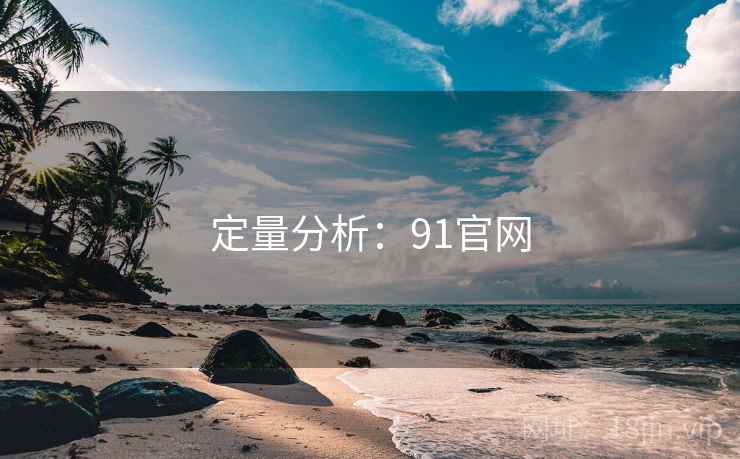 定量分析：91官网