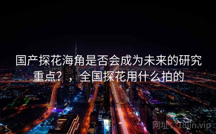 国产探花海角是否会成为未来的研究重点？，全国探花用什么拍的