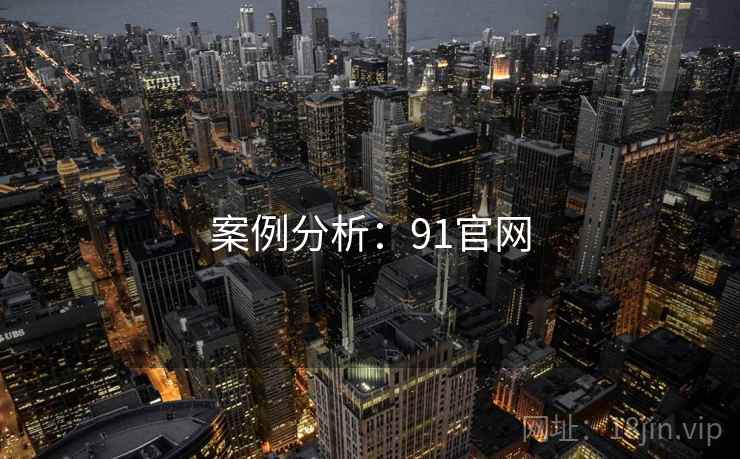 案例分析：91官网