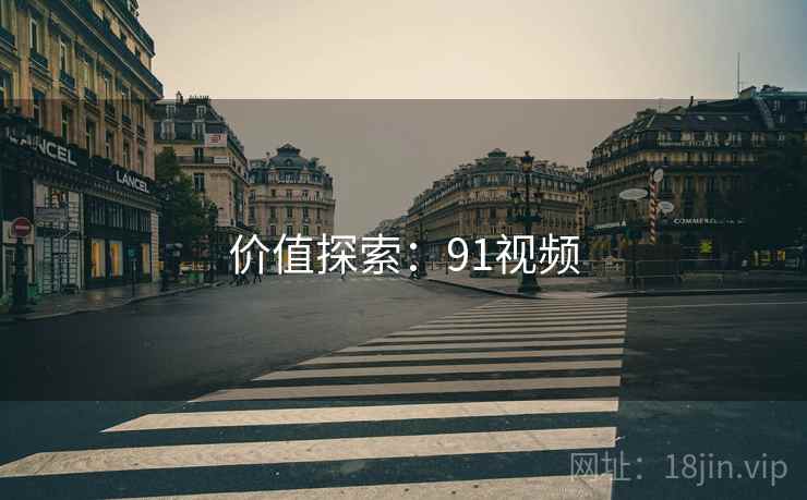 价值探索：91视频