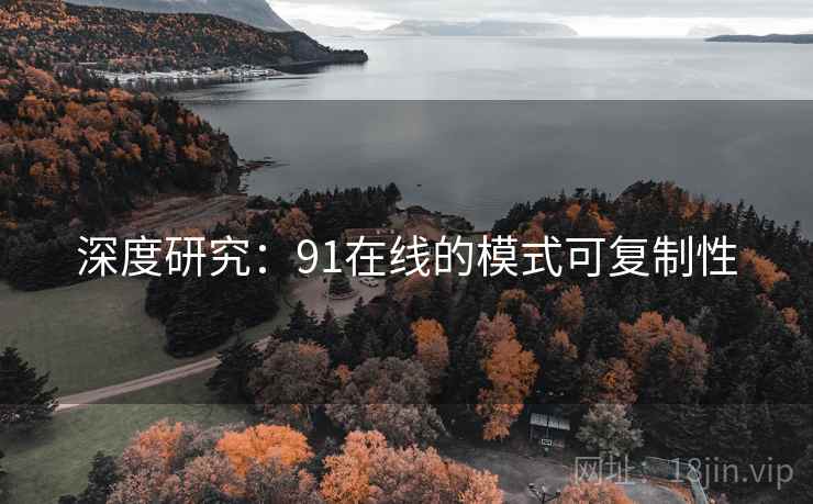 深度研究：91在线的模式可复制性