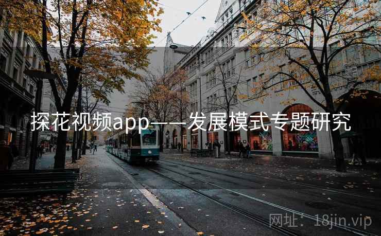 探花视频app——发展模式专题研究