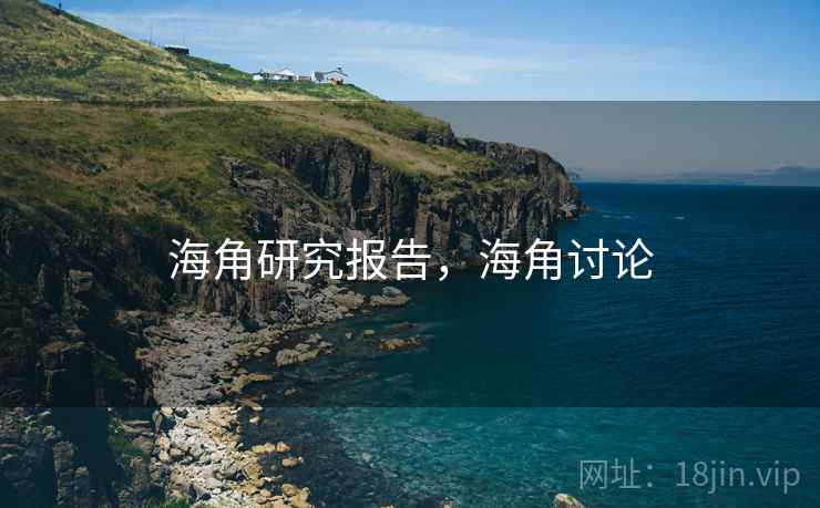 海角研究报告，海角讨论