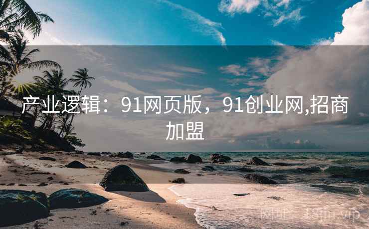 产业逻辑：91网页版，91创业网,招商加盟
