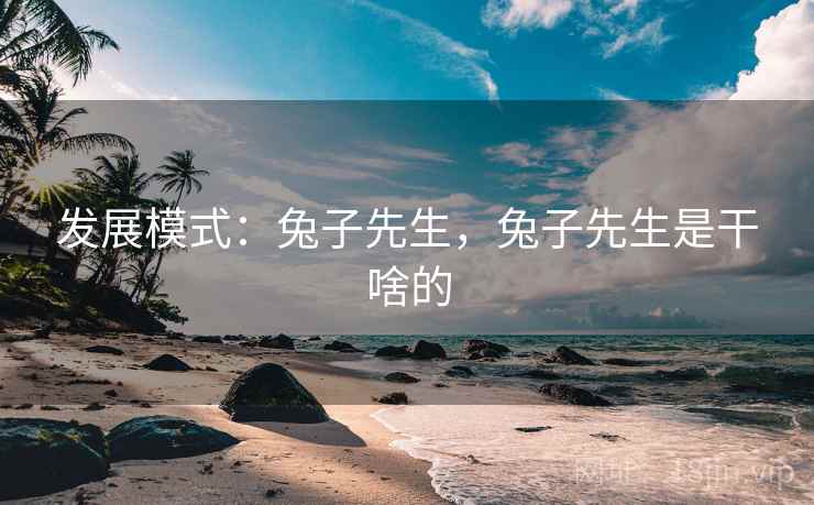 发展模式：兔子先生，兔子先生是干啥的